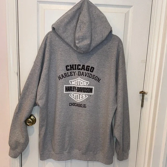 Harley-Davidson Gray Hoodie with Logo - Picture 4 of 6